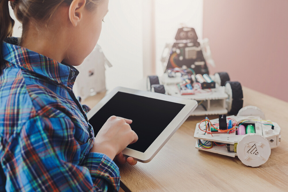 Vrijwilliger Spelen met Robots